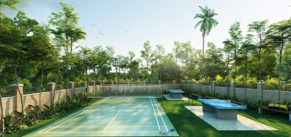  signature Badminton Court