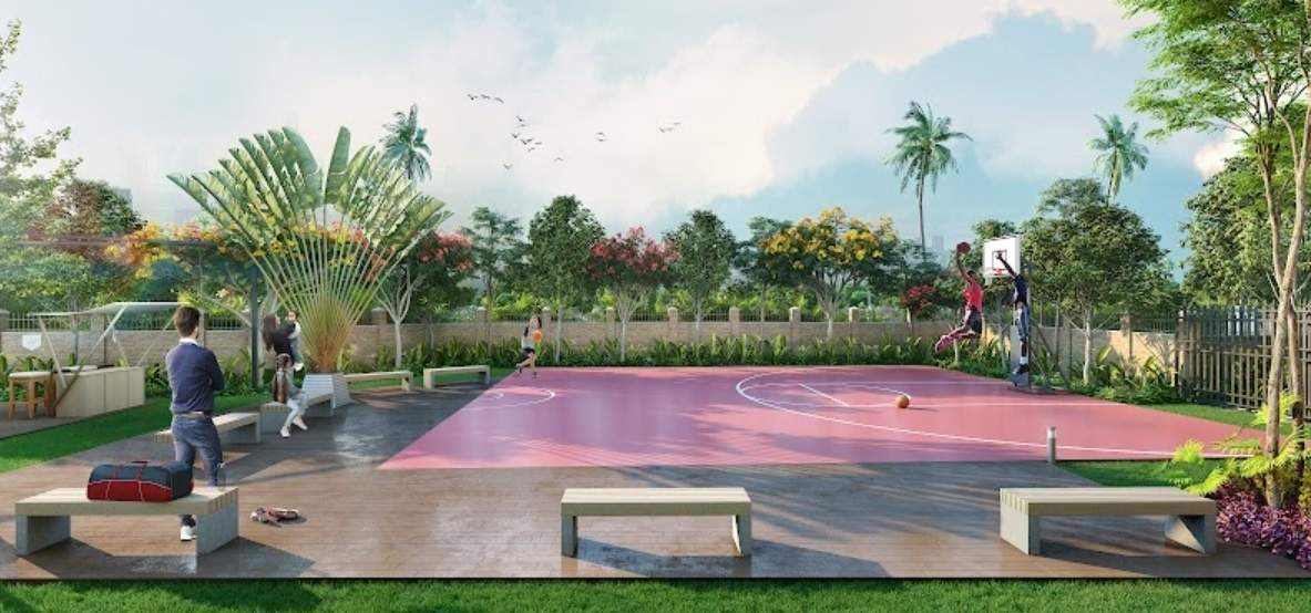  signature Basketball Court