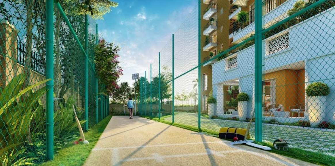  signature Cricket Pitch