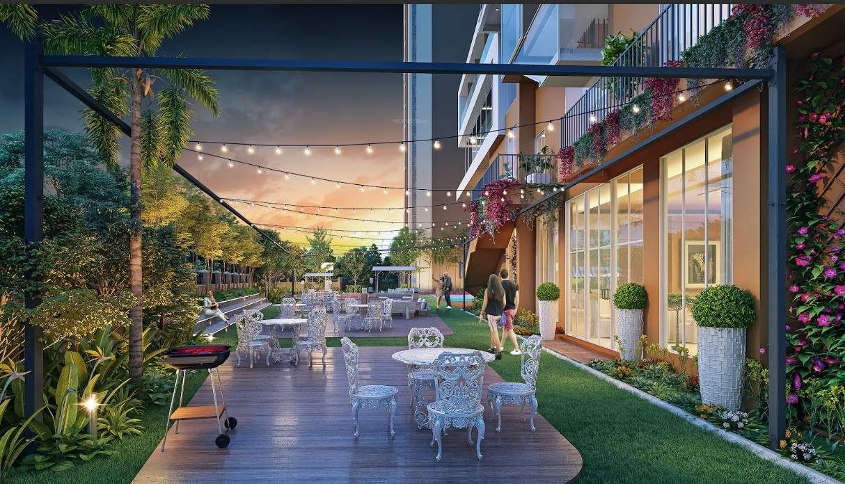  signature Party Lawn