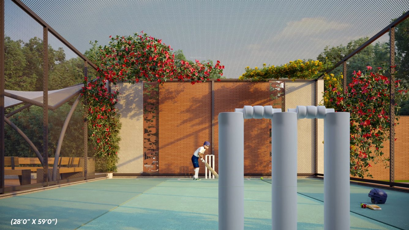  surya nivaas Cricket Pitch