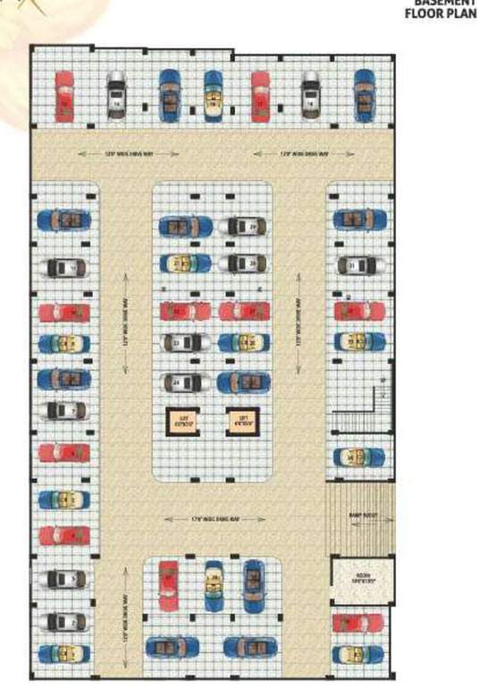  gen x daffodils Layout Plan