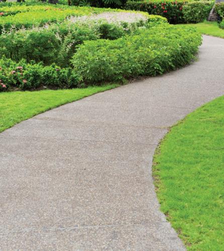  zenith Landscape Garden and Tree Planting