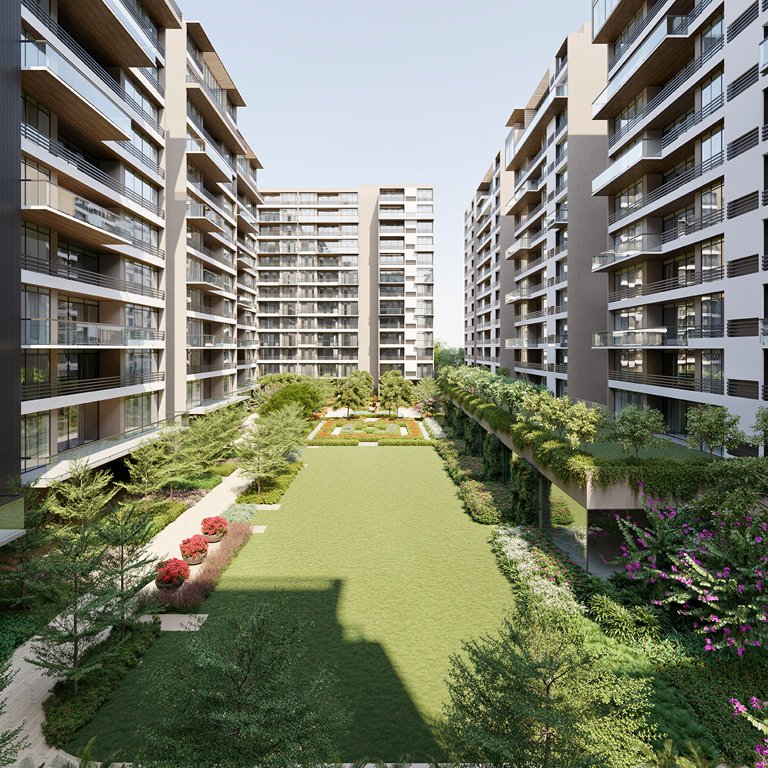 ercole Landscape Garden and Tree Planting