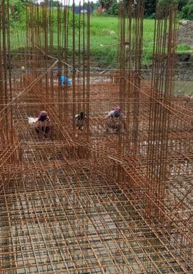  new-royal-enclave New Royal Enclave Construction Status Jan-22