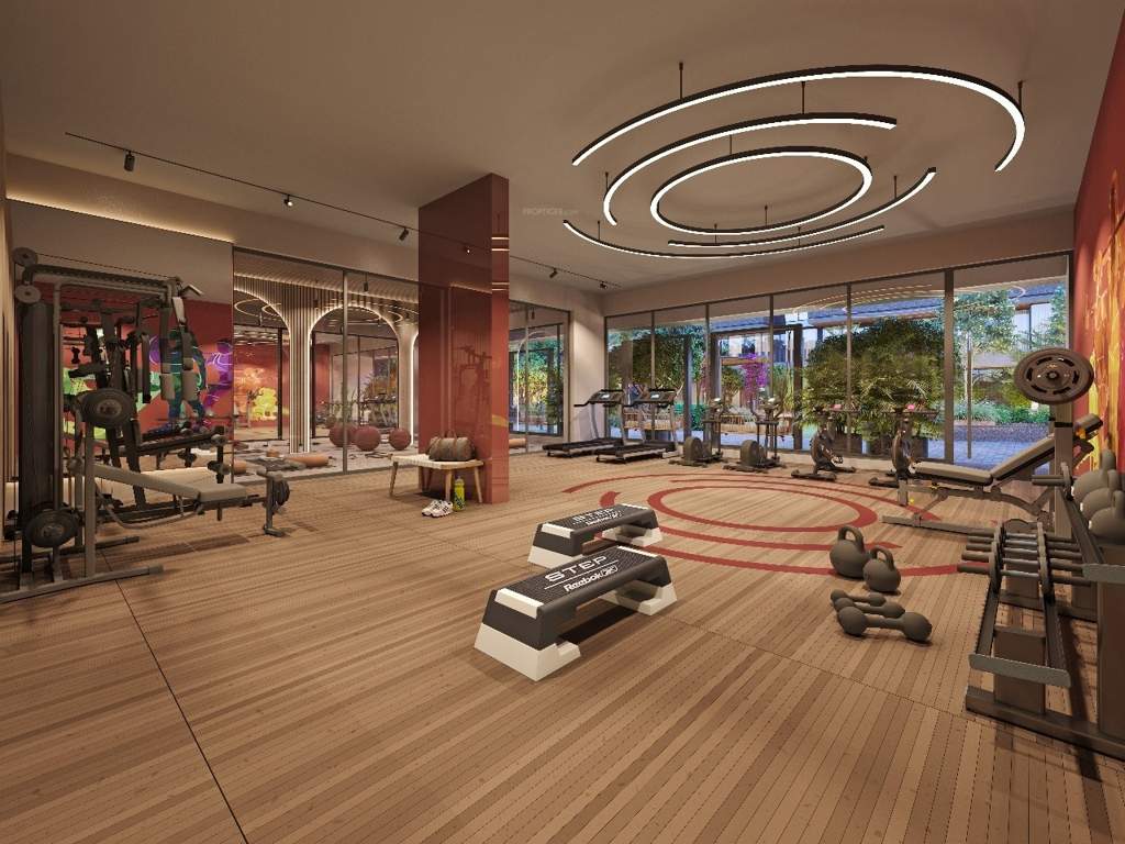  shikhar kiaan Gymnasium