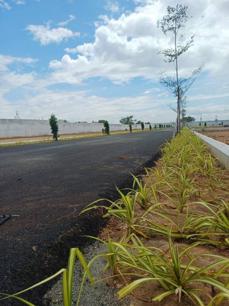  maniway-city Elevation