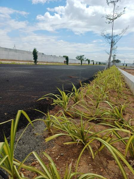  maniway-city Elevation