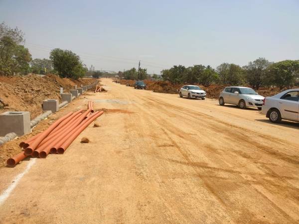  tree-shades Elevation