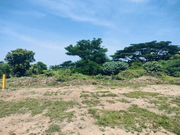 mainOther of Casagrand Palm Meadows