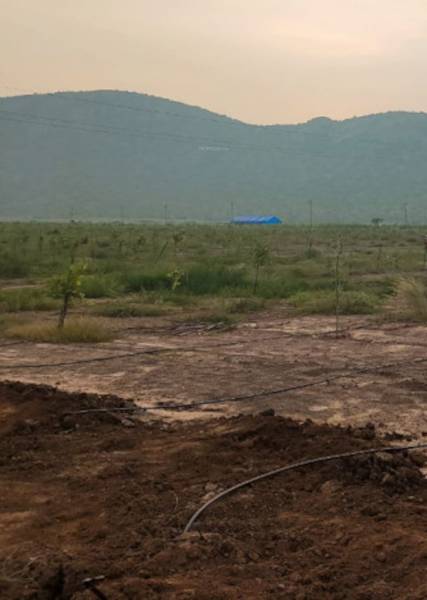  red-sandal-farm Elevation