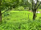Bhoomi Plots