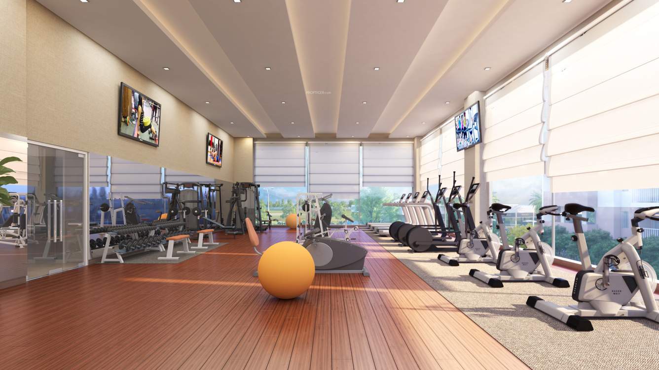  eureka park by tata value homes Gymnasium