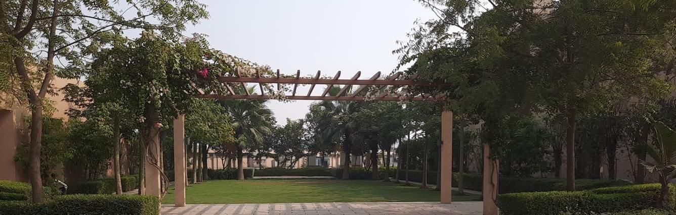 ville phase 3 Landscape Garden and Tree Planting