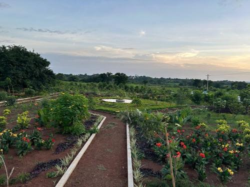  urban-springs Landscape Garden and Tree Planting