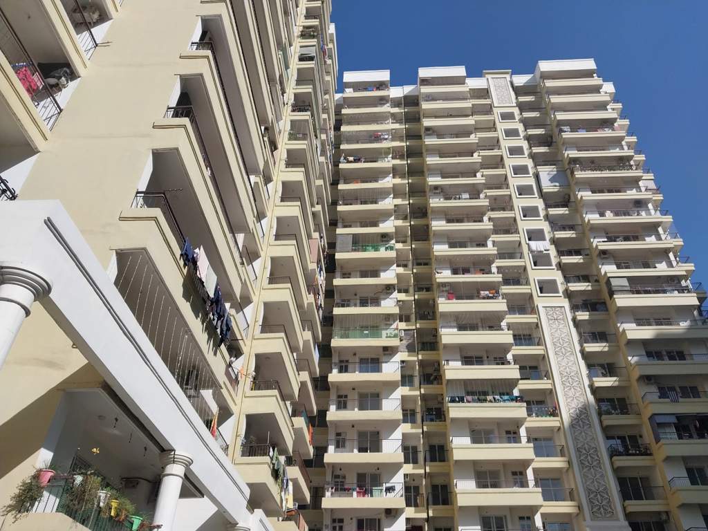 Alpine AIG Royal Phase 2