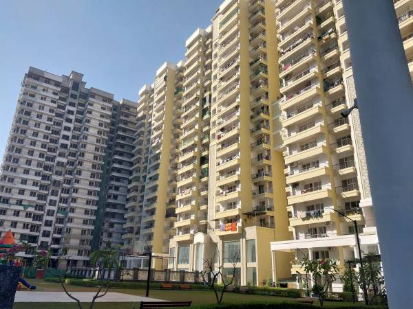 dummy-Alpine Infraprojects Pvt Ltd AIG Royal Phase 2