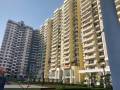 Alpine Infraprojects Pvt Ltd AIG Royal Phase 2