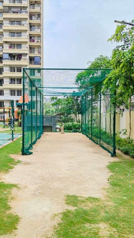 Alpine AIG Royal Phase 2