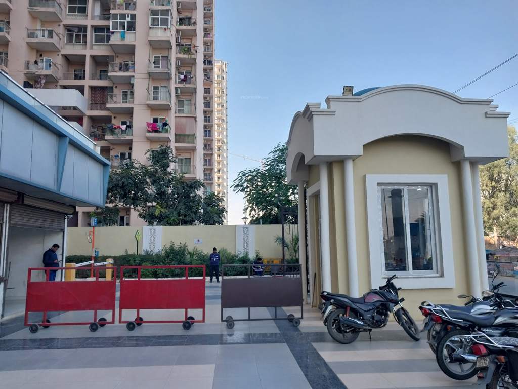 Alpine AIG Royal Phase 2