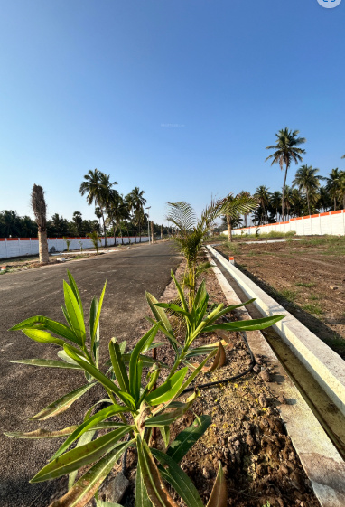 Elevation platina-city Elevation