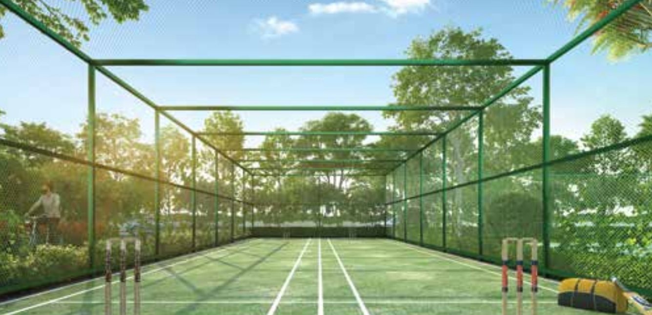  tvs emerald aaranya phase 1 Cricket Pitch