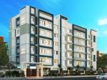 Elevation  nest-noble Elevation