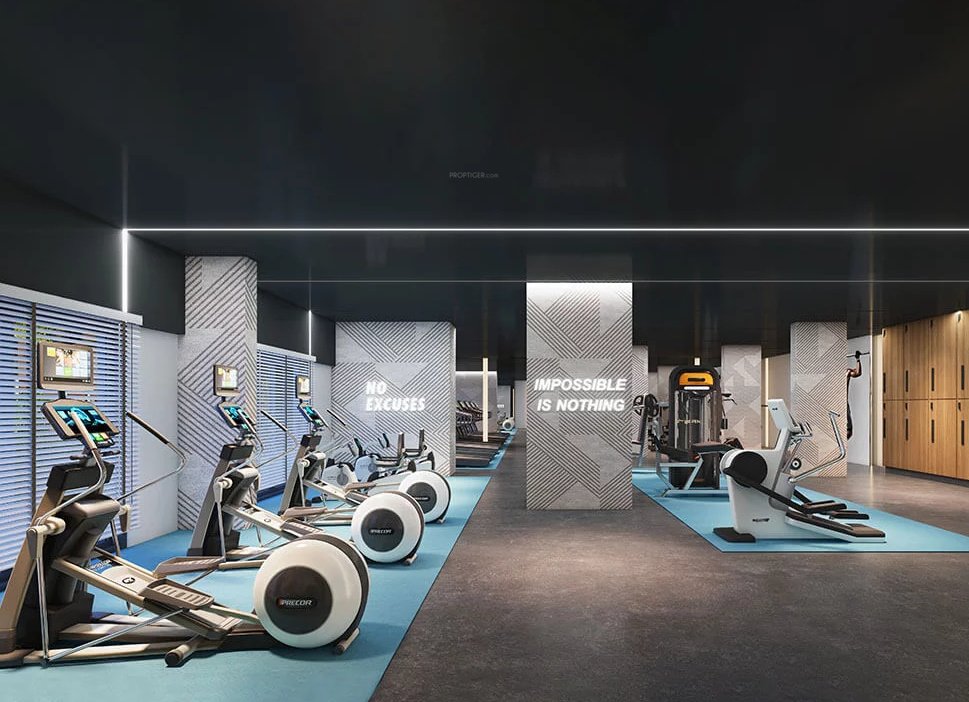  southbrooke Gymnasium