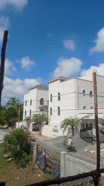  spring-gardenia Others