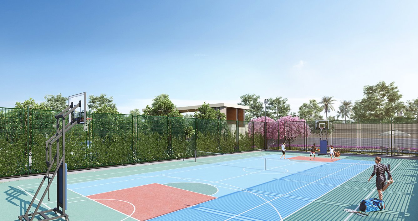  citrine Badminton Court