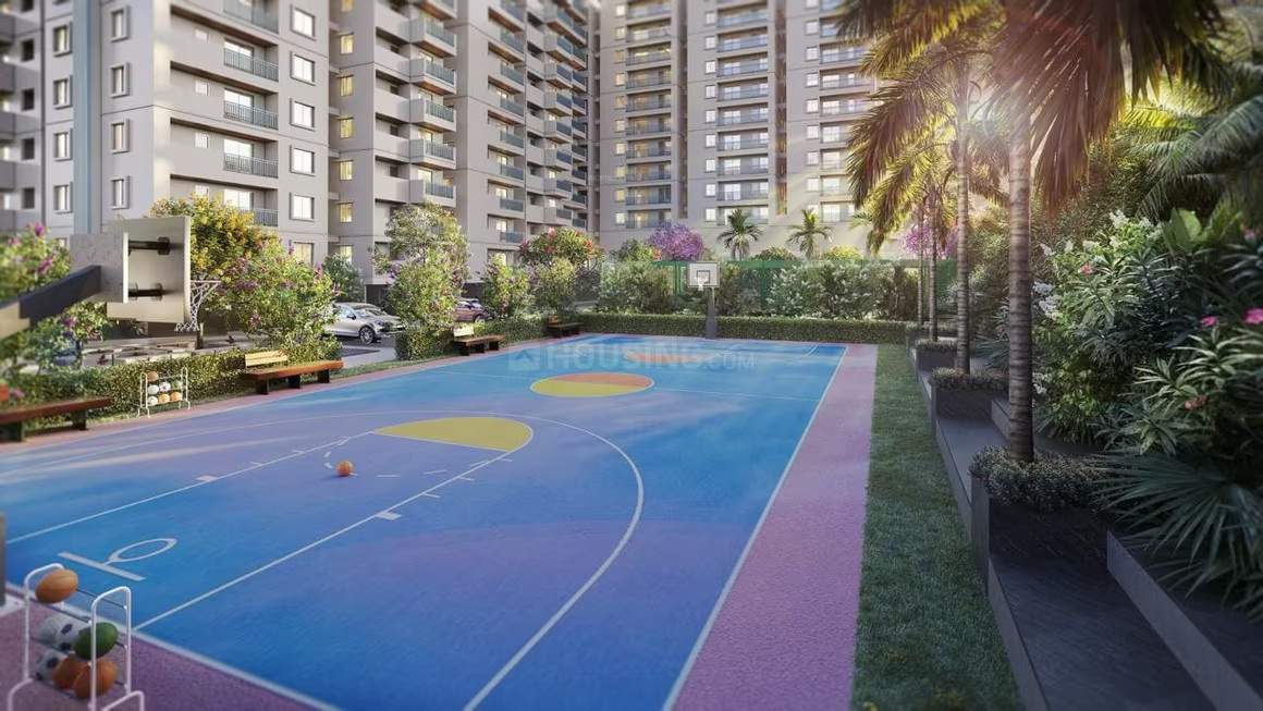  citrine Basketball Court