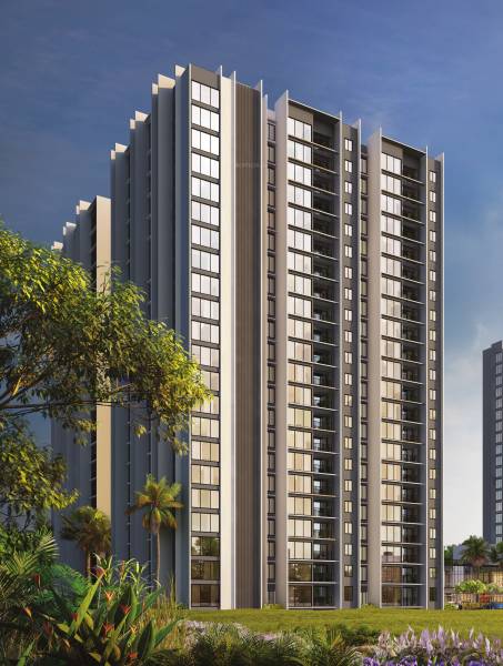  platinum-joy Elevation