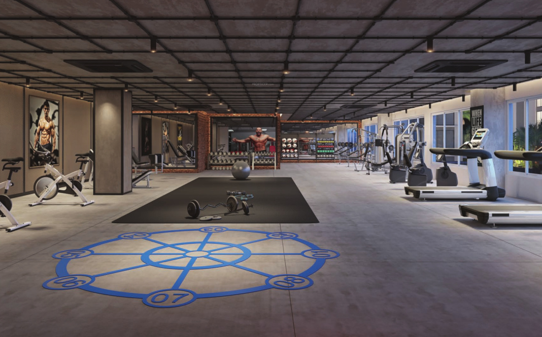  platinum joy Gymnasium