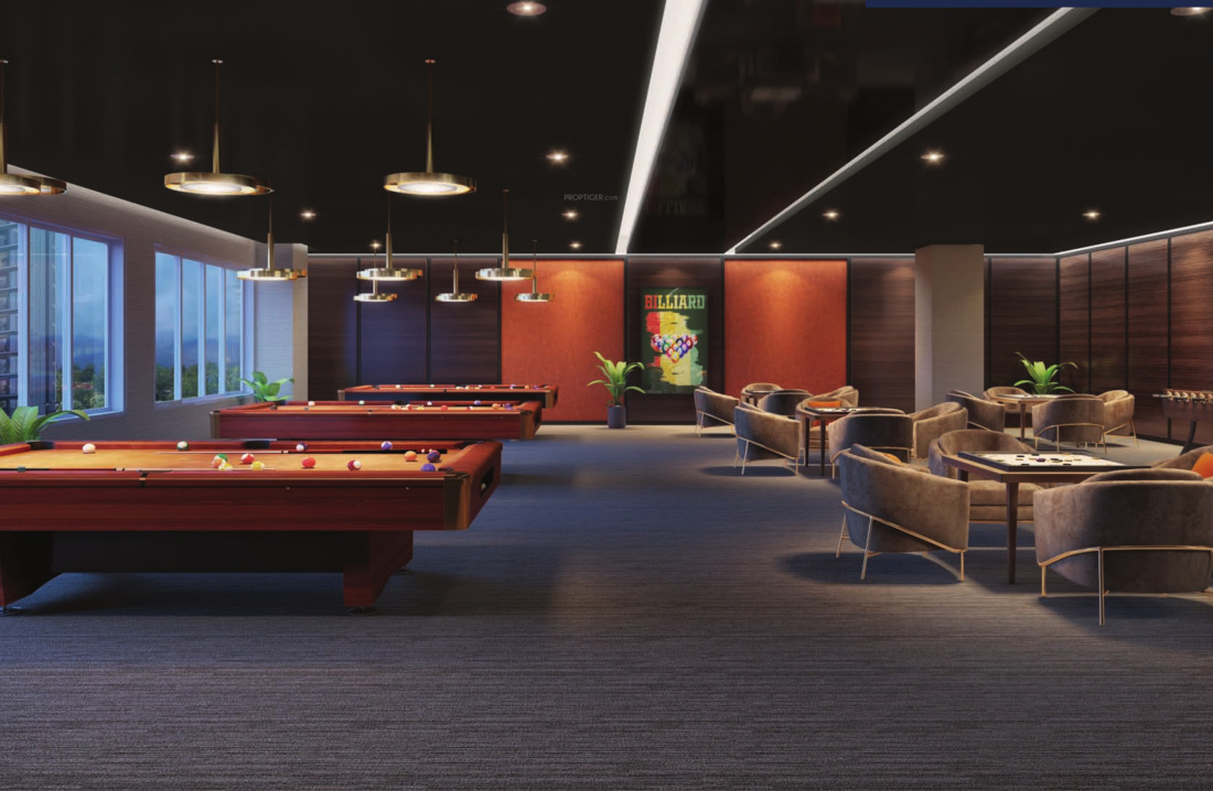  platinum joy Indoor Games