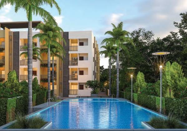  futurity-homes Swimming Pool