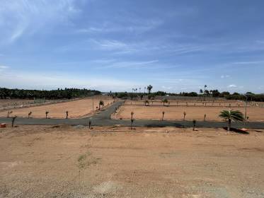 Elevation crown-city Elevation