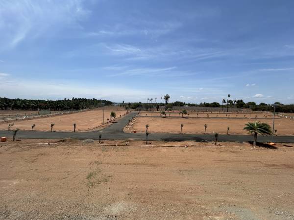 Elevation crown-city Elevation