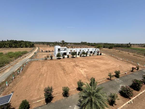 Elevation crown-city Elevation