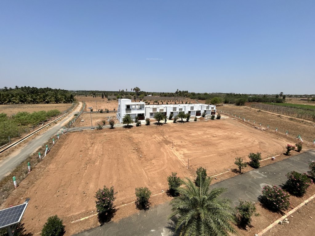 crown city Elevation