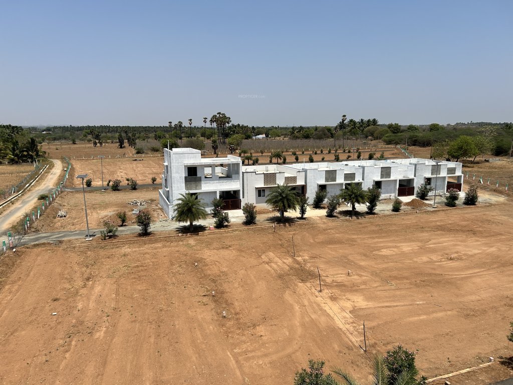 crown city Elevation