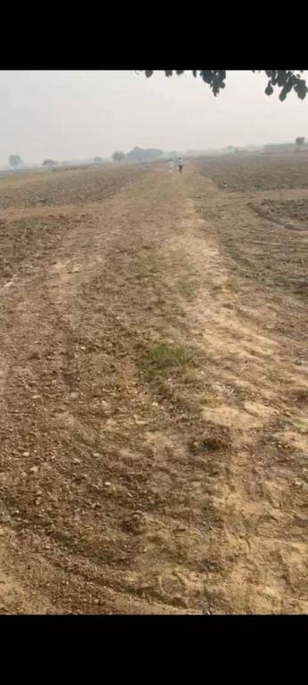  flower vally plots Plot