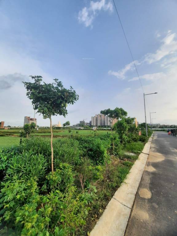 wave city sector 6 phase 2 residential plots Plot