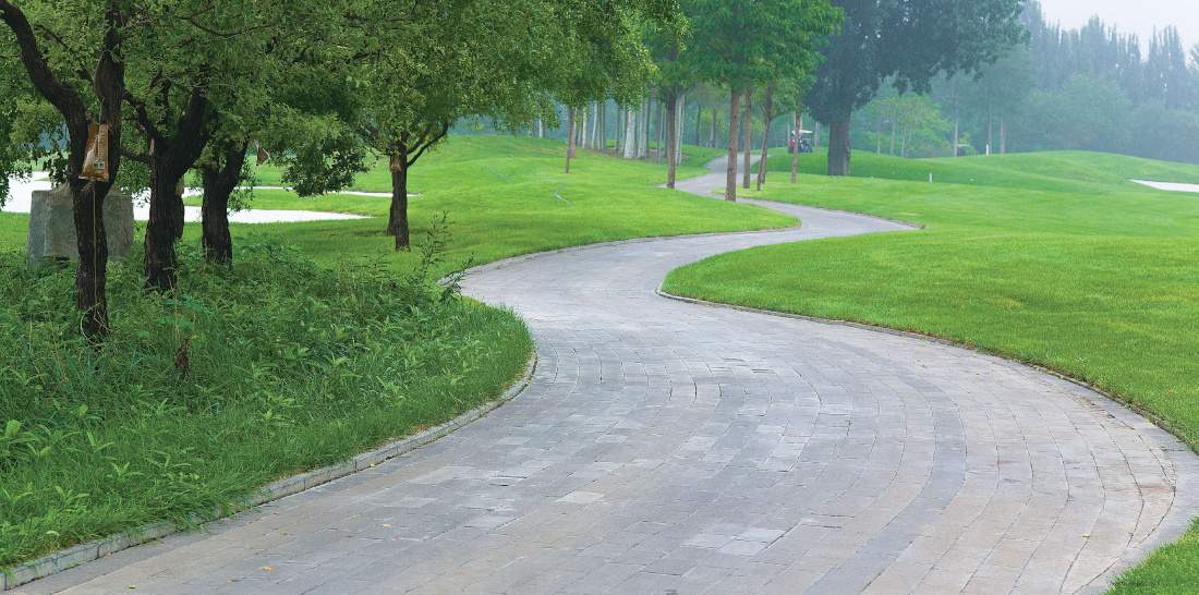  oyster greens phase 2 Landscape Garden and Tree Planting