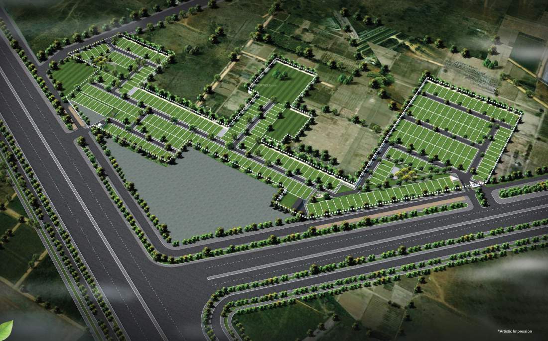  oyster greens Master Plan