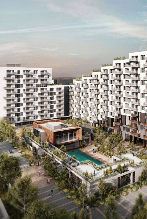 sun and sanctum Elevation