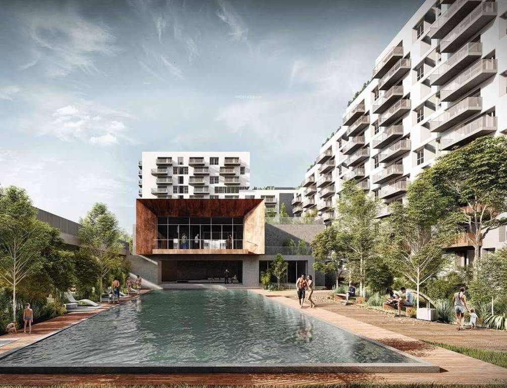 sun and sanctum Swimming Pool