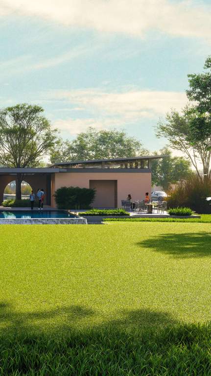  the creek Landscape Garden and Tree Planting