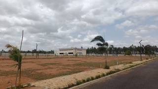 Project Image Project Image