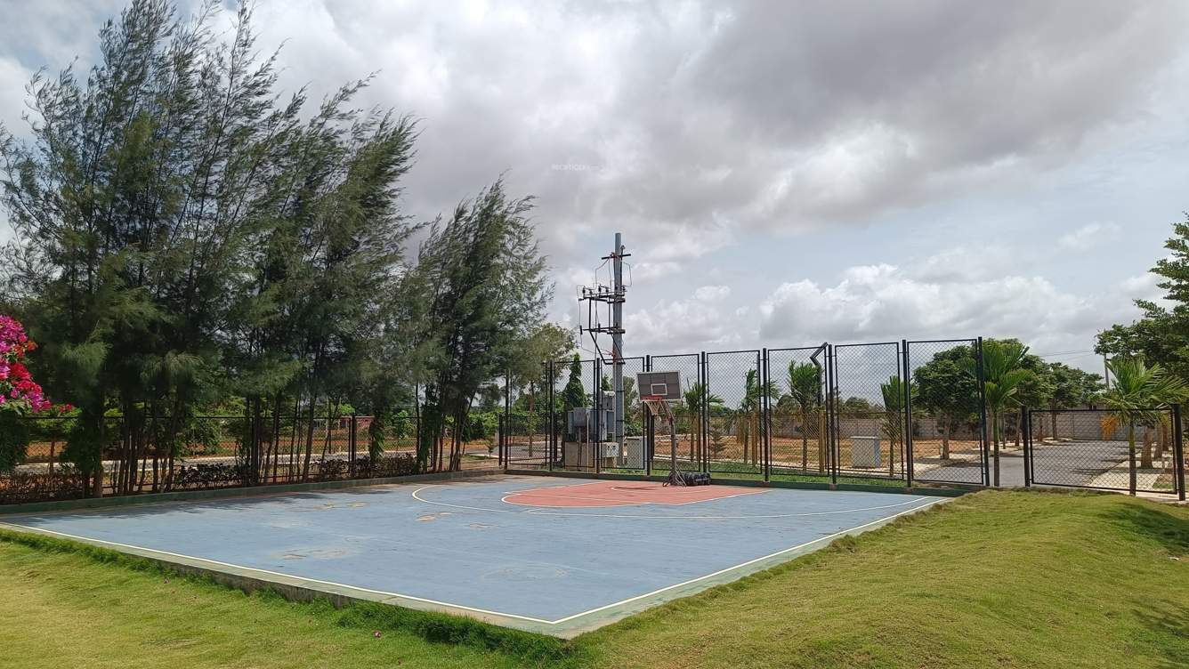  grevillea Basketball Court