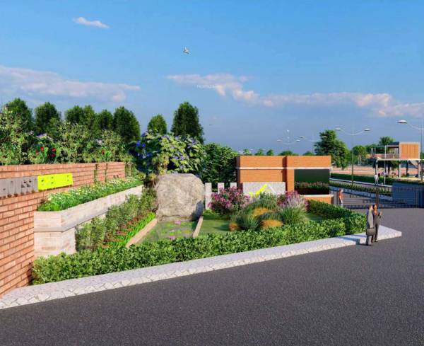  grevillea Flower Garden